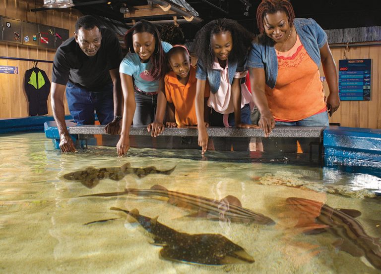 Newport Aquarium in Kentucky