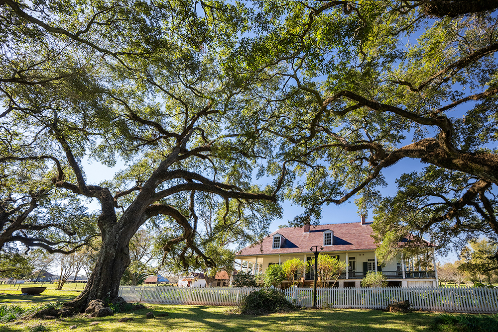 Natchitoches, Louisiana, USA - Exterior home at historical Oakland, dating from 1821, a French-Creole cotton plantation that has 17 buildings among live oaks that is open to the public.