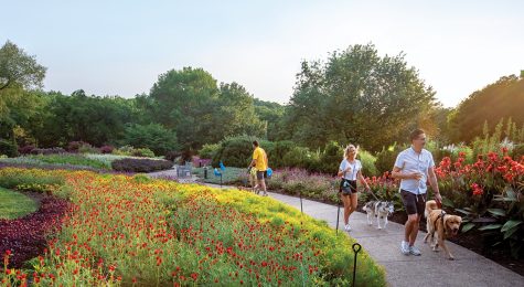 Visitors walk their dogs through the flower gardens during the Thursday Night out and Dog Nights of Summmer event at Cheekwood Estate and Gardens in Nasvhille, Tennessee. ©Journal Communications/Jeff Adkins
