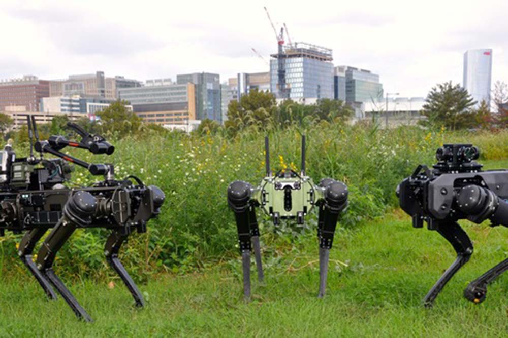 Robotic dogs