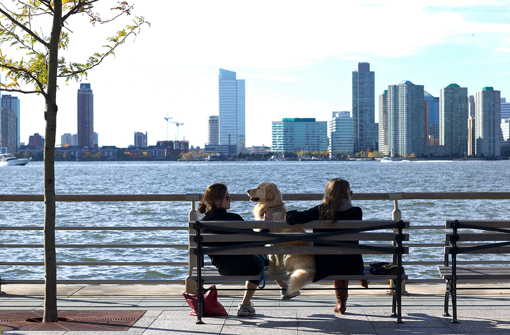 Dog sits on a bench with his humans at the Tribeca waterfront in New York City.
