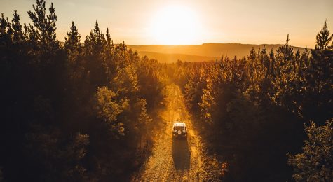 A jeep four wheel driving through pine forest at sunset.