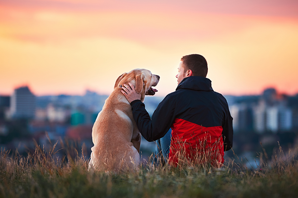 Man is petting his yellow labrador retriever as the sun sets in one of the most pet-friendly city in every state