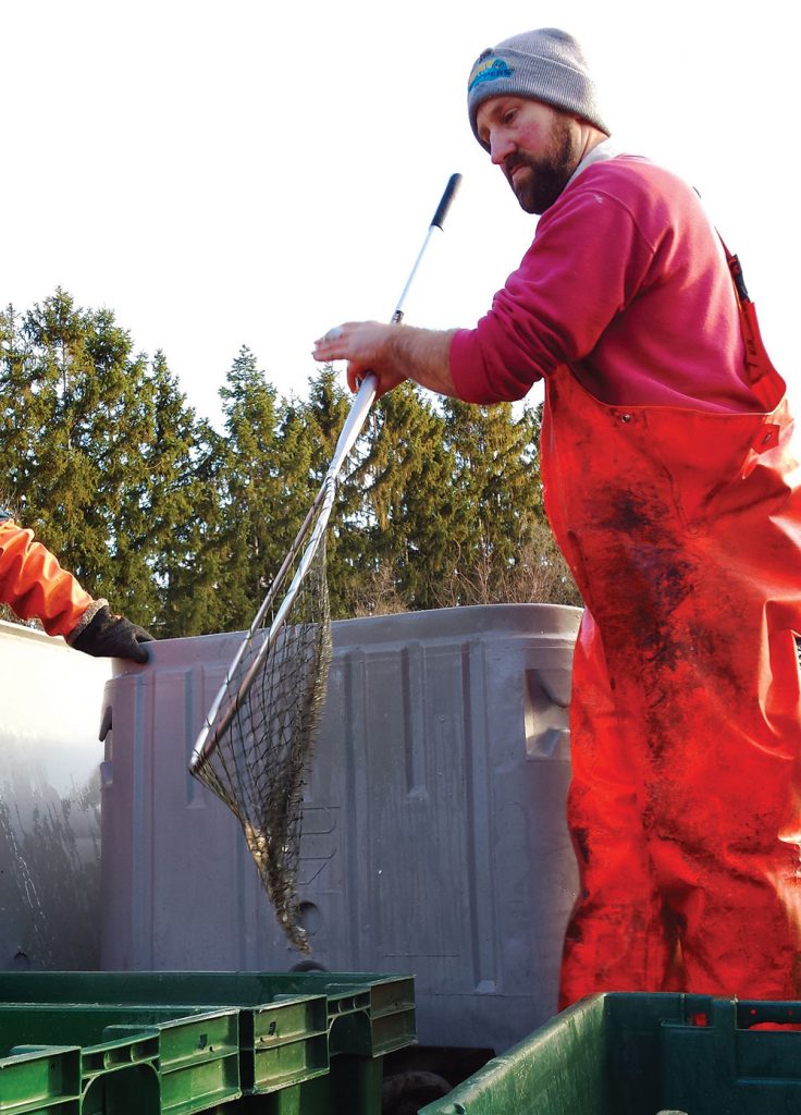 Eric Petersen runs a successful commercial fishing operation along the Muskegon Lakeshore.