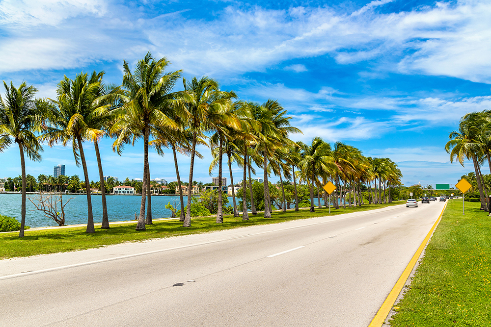 Palm trees and road in Miami Beach, Florida.