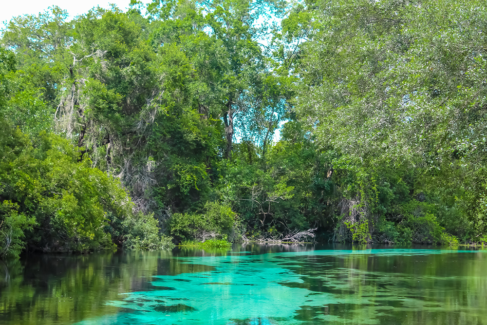 Weeki Wachee Springs River with blues and greens.