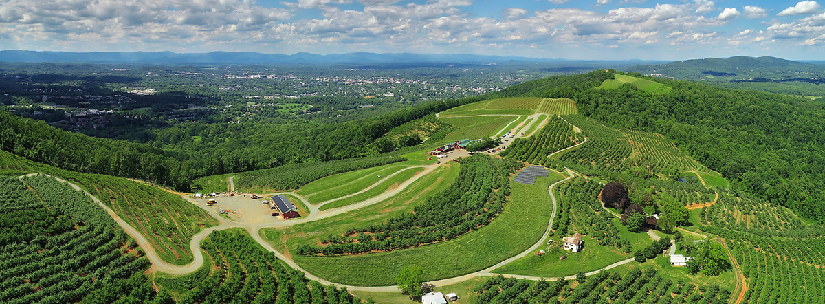 Panoramic view of Carter Mountain in Charlottesville VA