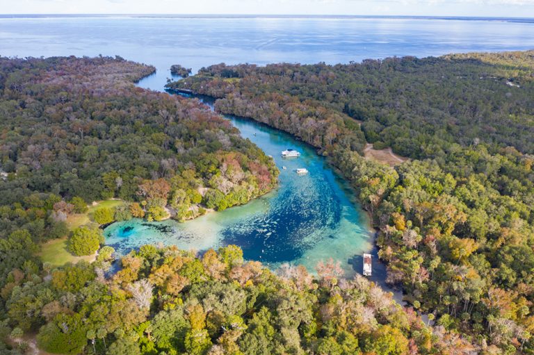 Silver Glen Springs is a first-magnitude spring that empties into Lake George and the St. Johns River.