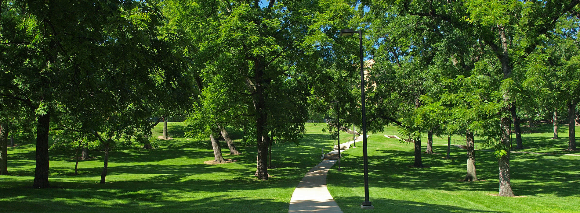 Green path on the University of Kansas campus in Lawrence KS