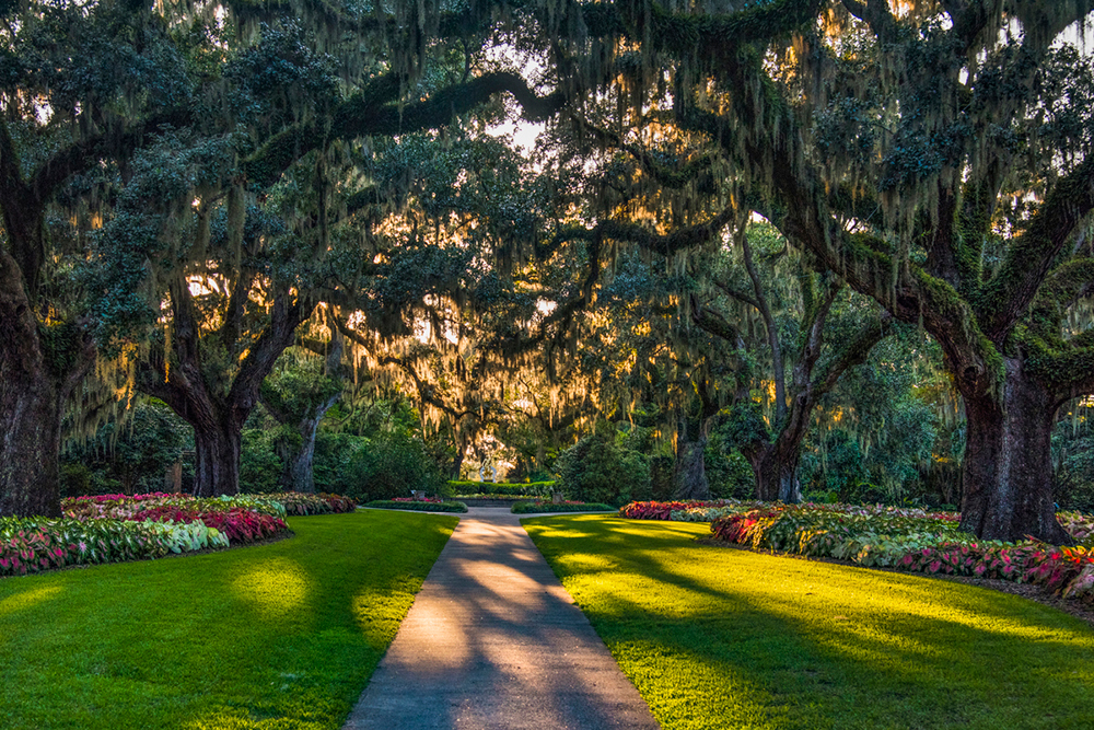 Brookgreen Gardens in Myrtle Beach, South Carolina, SC, USA