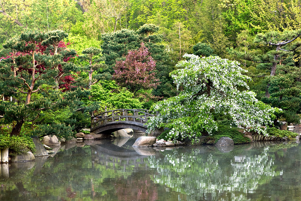 Photo of the Anderson Japanese Gardens in Rockford, IL