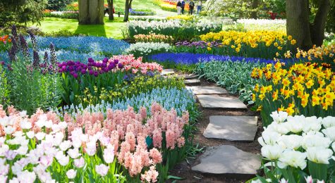 Flowers in bloom at one of the most beautiful botanical gardens in the U.S.