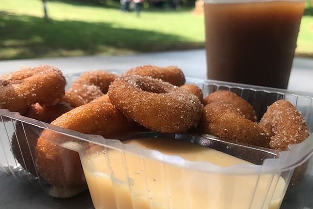 Picture of a snack of mini donuts with dipping sauce and an apple cider slushie at Millstone Creek Orchards in Ramseur, NC.