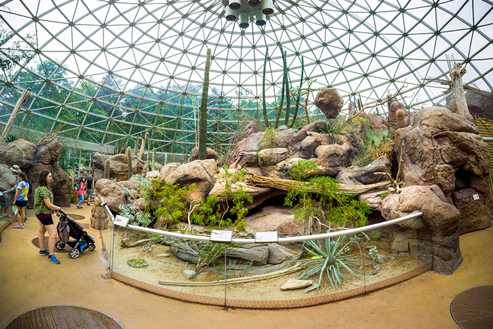 Interior panorama of The Desert, a glass-dome building designed to recreate an arid colorful exhibit, at the the North Carolina Zoo.