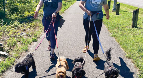 The Houndry team and their four-legged friends in Oak Ridge, TN