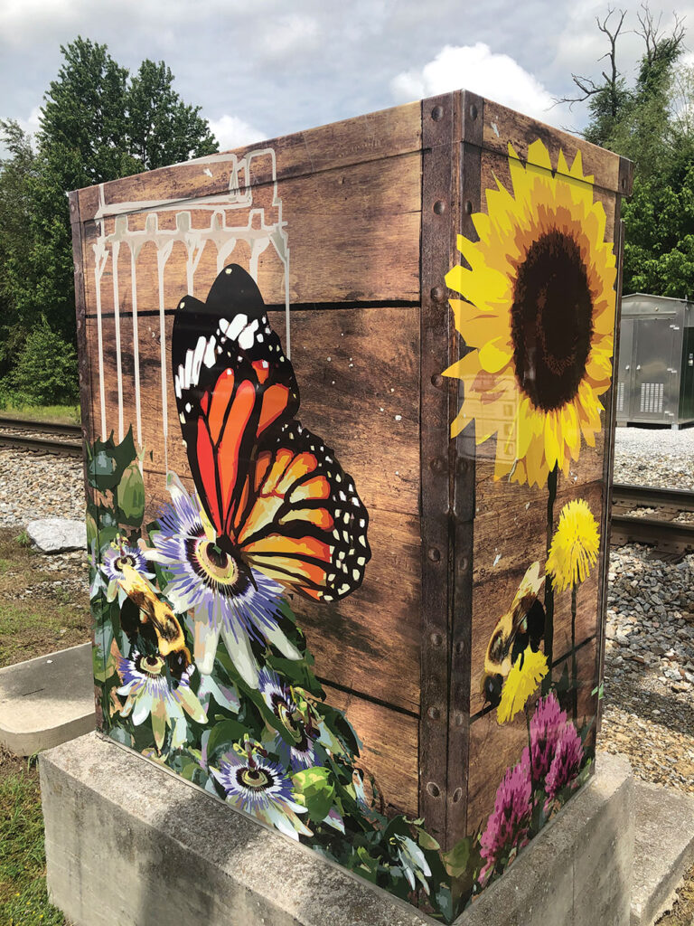 Pollinators in Johnson City, TN