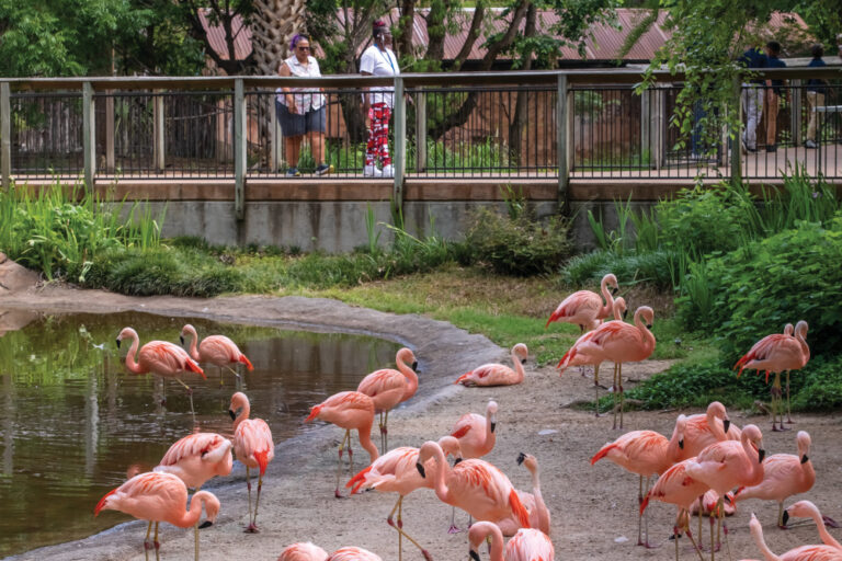Caldwell Zoo