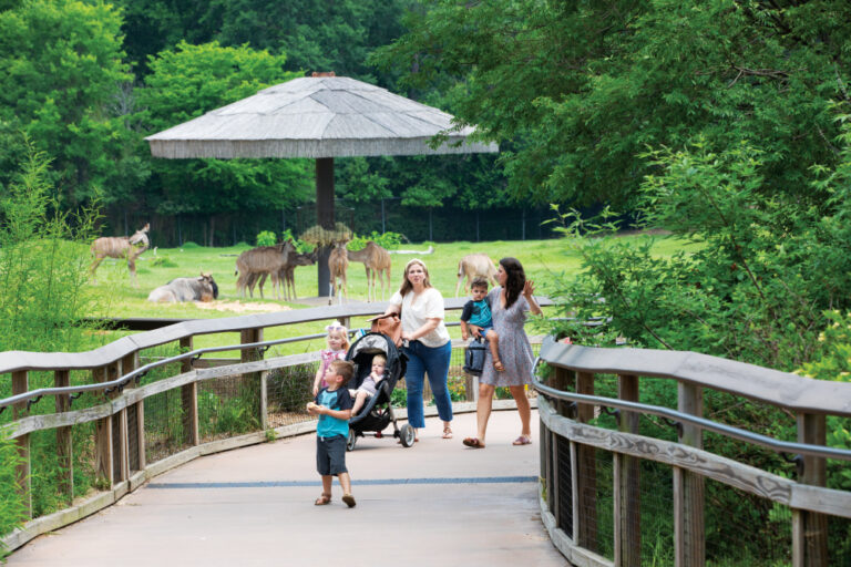 People walk through the African section at Caldwell Zoo in Tyler, Texas