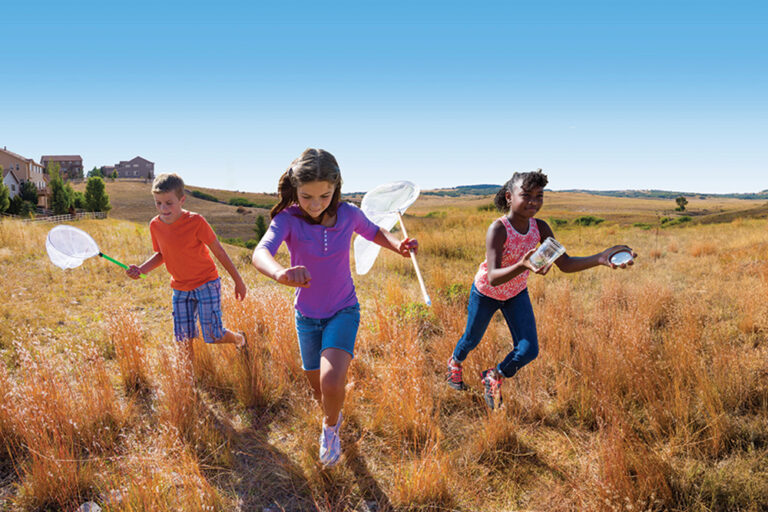 Castle Rock, CO: Children running through the field with butterfly nets at Crystal Valley development
