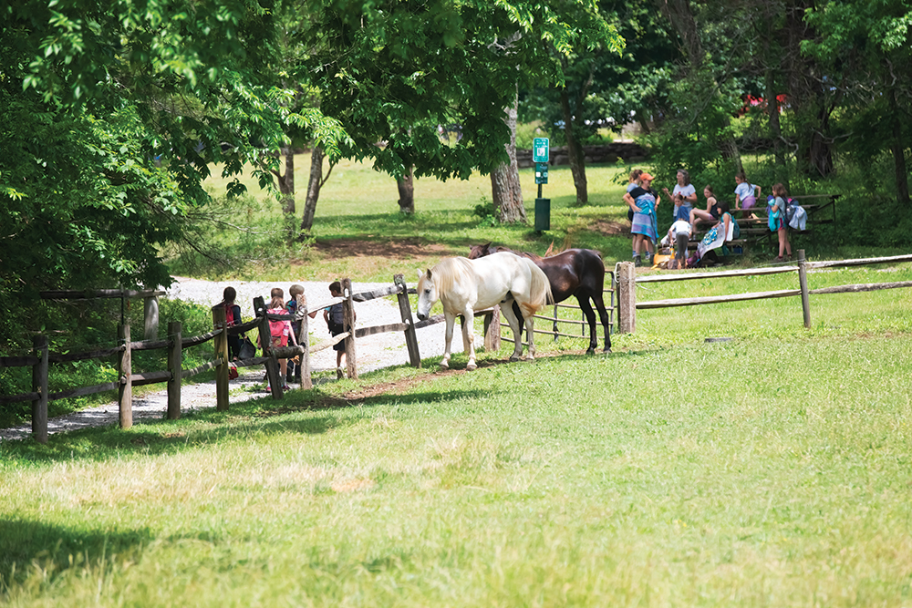 Visitors walk past some horses next to a trail at Reflection Riding Nature Center in Chattanooga, Tennessee. ©Journal Communications/Jeff Adkins