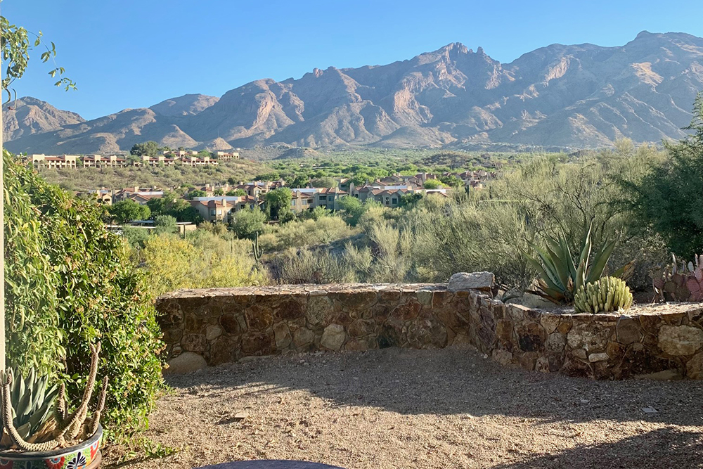 View from Hacienda Del Sol Patio, the perfect weekend retreat spot in Tucson, AZ.