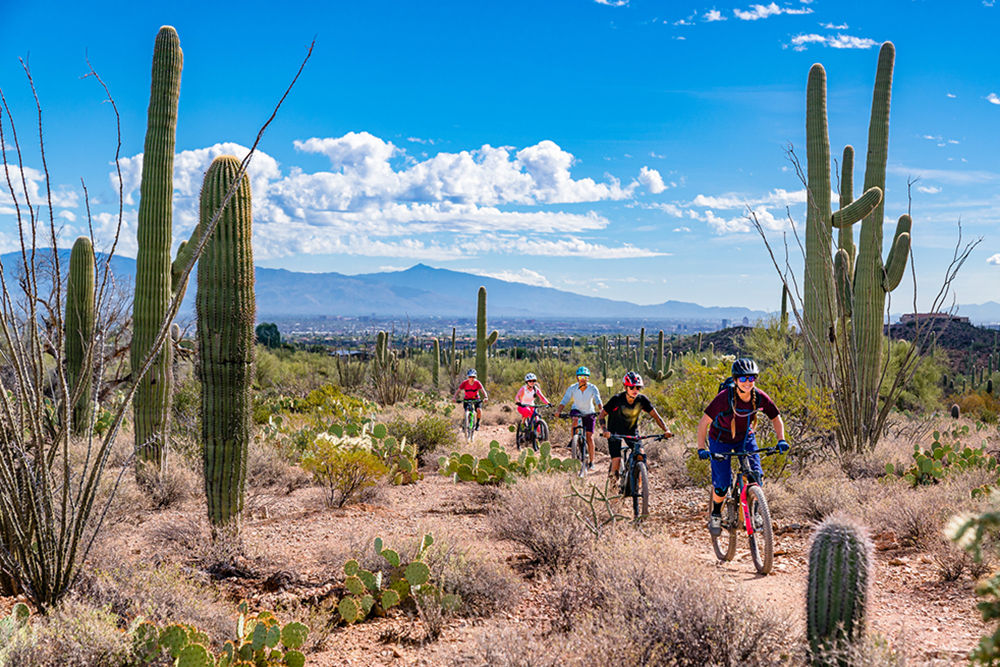 People biking through Saguaro National Park in Tucson, AZ