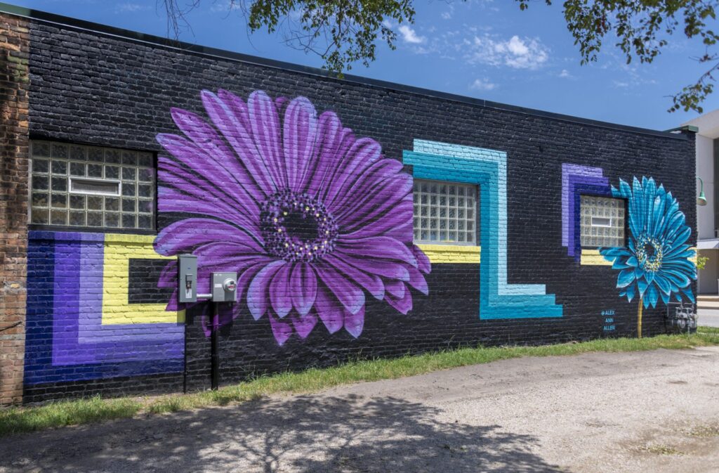 “Majestic Daisies” mural at Kodachrome Coffee in South Bend, IN