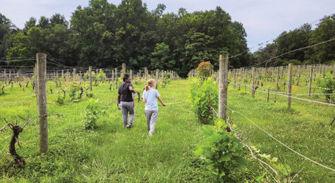 Children run through the fields at Sweet Vines Farm Winery. Sweet Vines Farm is a winery located in Central Virginia.