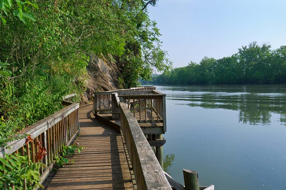 Boardwalk at Ijams Nature Center, Knoxville, TN