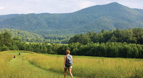 Visitors hike through a field at Cades Cove during Vehicle-Free Day in Great Smoky Mountains National Park in Townsend, Tennessee, which is near Blount County.