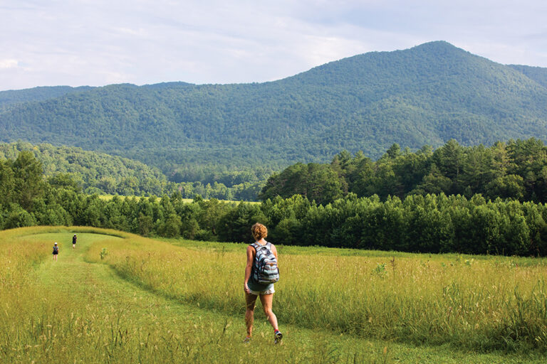 Visitors hike through a field at Cades Cove during Vehicle-Free Day in Great Smoky Mountains National Park in Townsend, Tennessee, which is near Blount County.