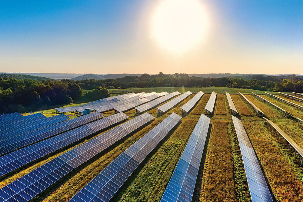 Solar farm built by Constructable