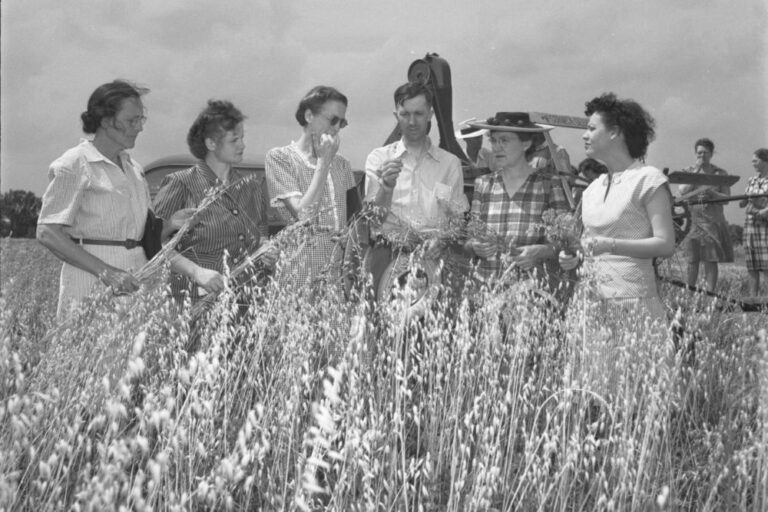 In Paris, Tenn., teachers visit Upchurch Test Demonstration Farm in June 1946.