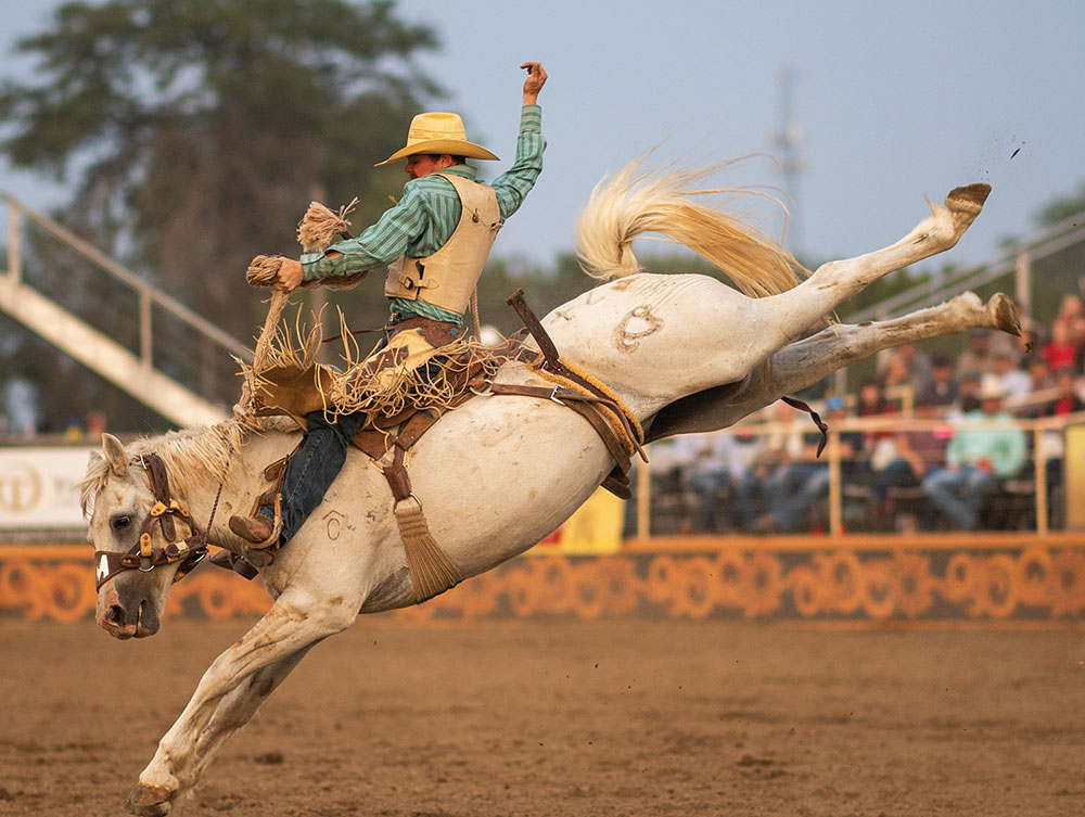 The Gooding Pro Rodeo in Southern Idaho