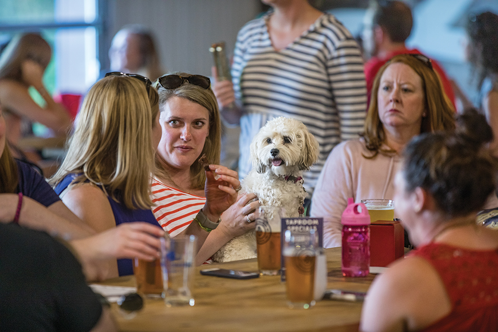 Dogs are welcome guests at Mill Creek Brewing Company in Nolensville, Tennessee. Nolensville is in Williamson County.