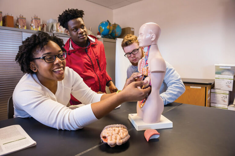 Students study a body at Quinsigamond Community College.