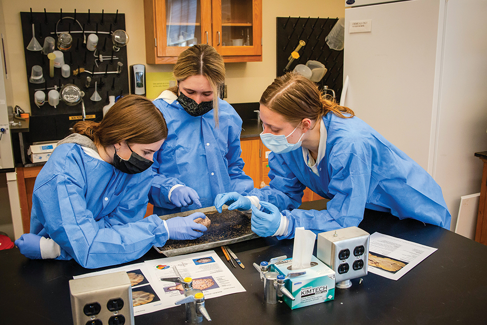 Students dissected sheep brains during Prof. Alo Basu Neuroscience Lab in Worcester, MA - Nov 17th, 2021. Photo by John Buckingham.