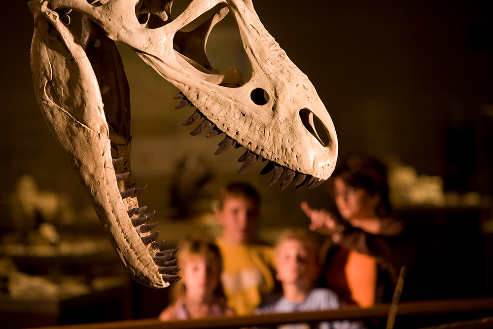Photo of a dinosaur exhibit at the Dickinson Museum in Dickinson, ND.