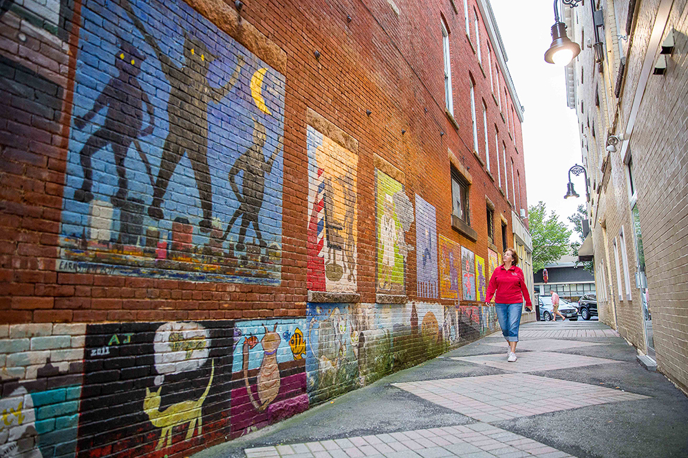 Cat Alley in Downtown Manchester, NH. Today the whimsical alley is still a haven for cat loving street artists and their cute cats. Photo Source_ Manchester Economic Development Office