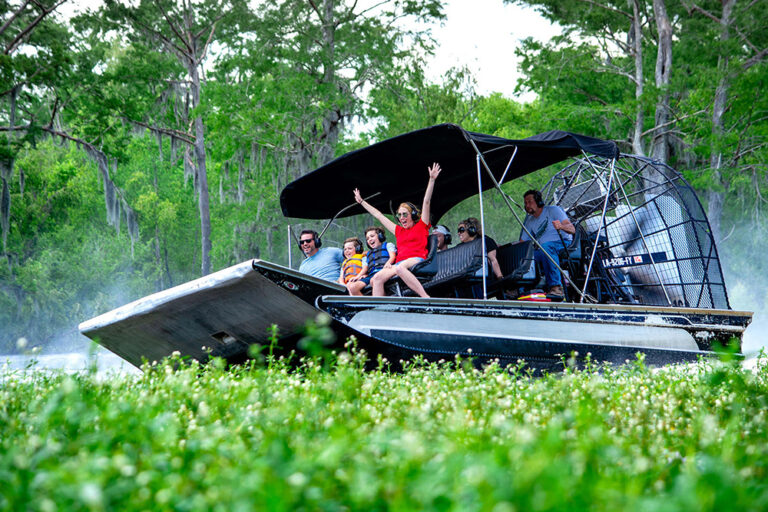 McGees Airboat tour in Lafayette, LA