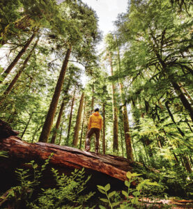 For feature about outdoor activities in Puyallup and Sumner, WA