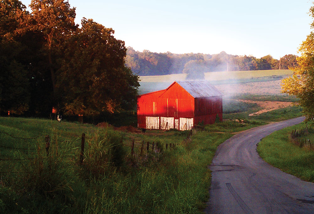 In the fall, it’s common to see farmers smoking tobacco in their barns.