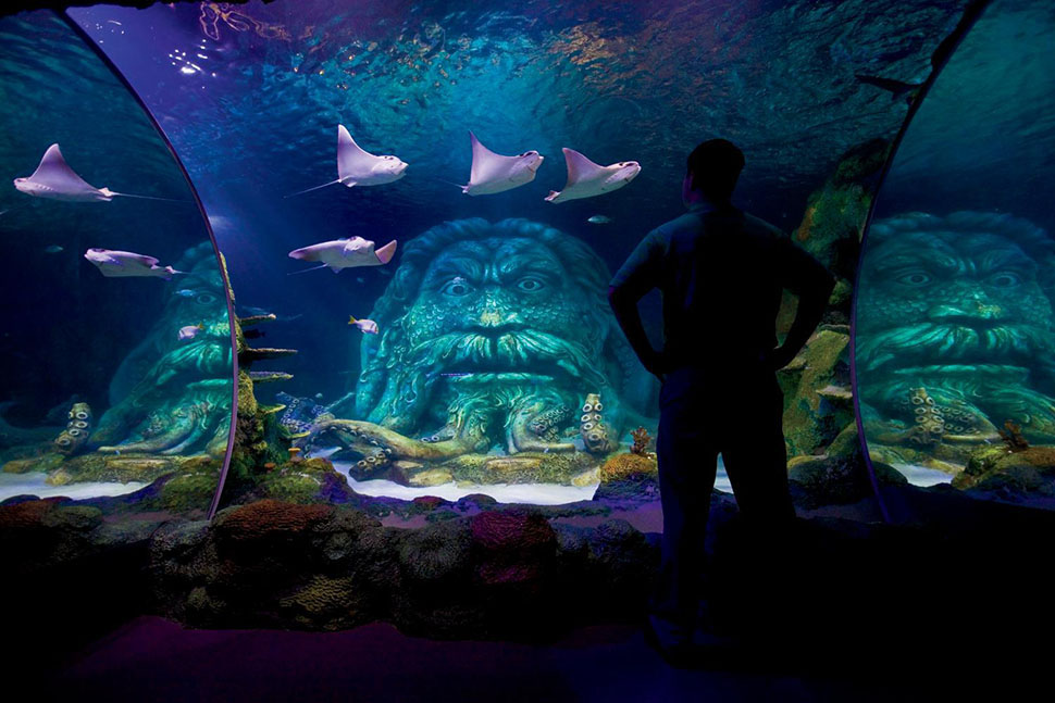 Sharks and rays swim at the Sea Life Aquarium in the Concord Mills shopping center in Concord, N.C. This family-friendly city is just 30 miles from North Carolina's largest city, Charlotte.