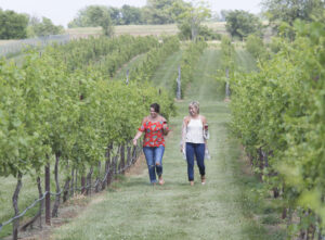 Women stroll through the vineyards at KC Wine Co in Olathe, KS. Olathe is the Shawnee word for "beautiful," reflected in the city's rolling hills and gorgeous scenery.