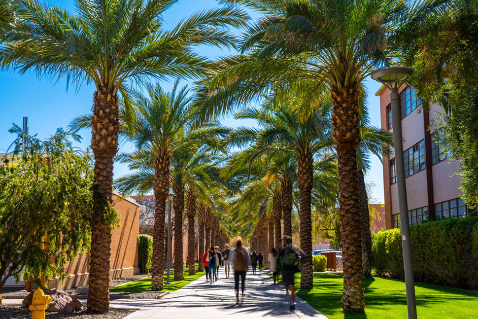 The Palm Walk at Arizona State University campus in Tempe, AZ. Tempe is more than just a college town, though — it also has a thriving economy, a great brewery scene and loads of outdoor recreation opportunities.