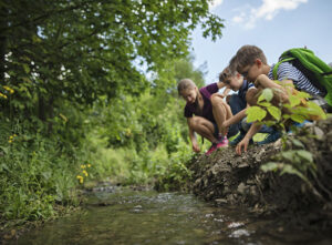 Kids play in a creek in Troy, MI. The 1,000 acres of parks in Troy allow for just about every outdoor activity.