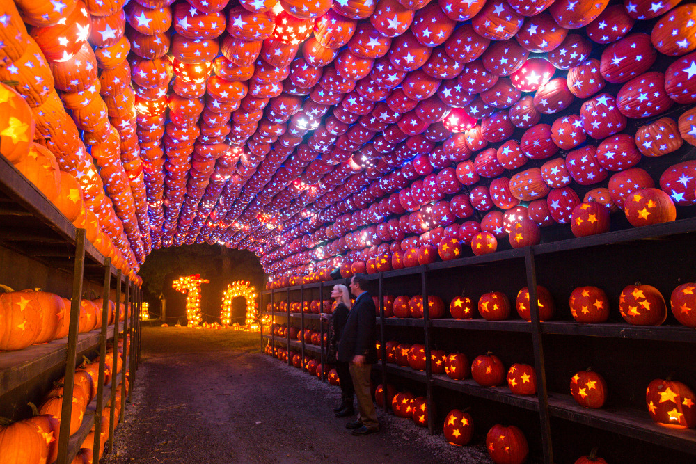 The pumpkin planetarium in Sleepy Hollow, New York