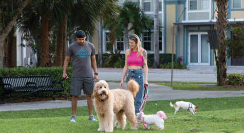 For Fort Lauderdale downtown dwellers with pets, dog parks are within reach.