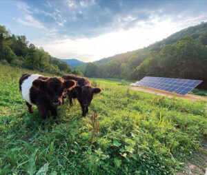 Alternative energy sources fuel the Advantage Valley.