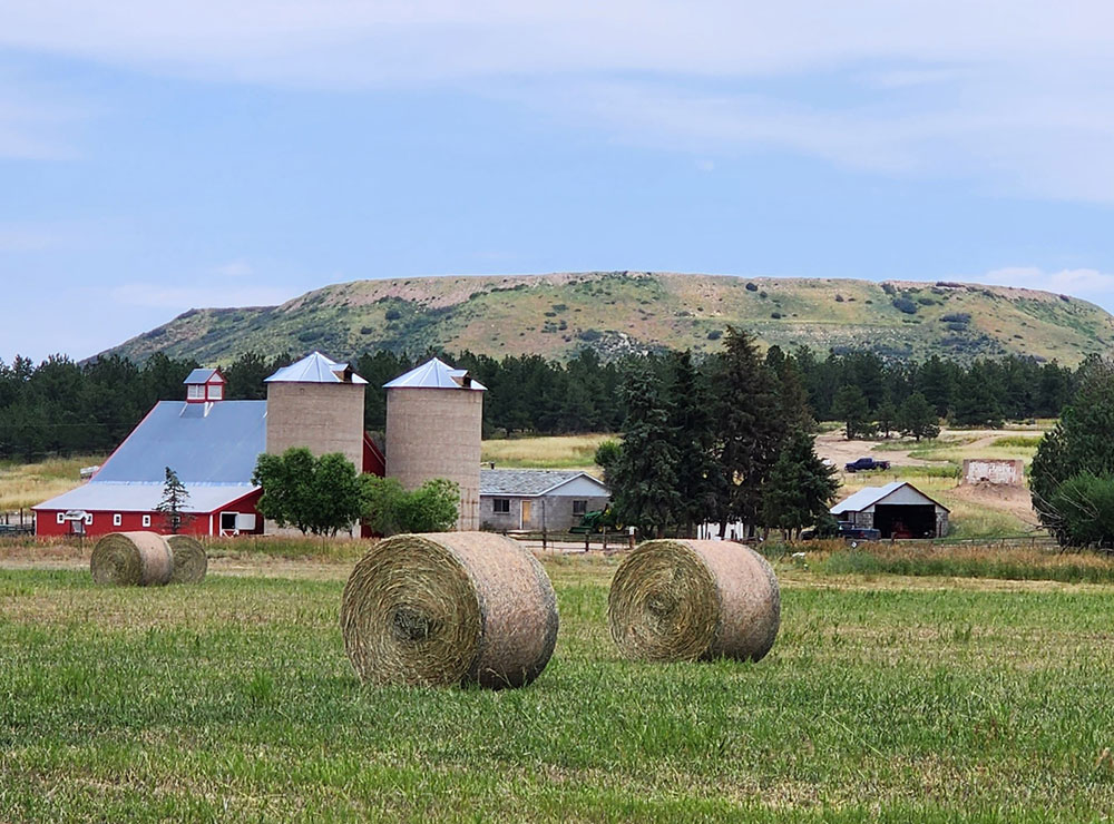 Farm life in Castle Rock, CO